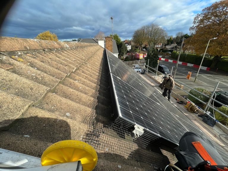 Solar-Panel-Proofing-from-birds-in-Leicester-with-GC-Pest-Control-29